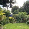 Photo 7: Back garden