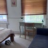 Photo 3: Two large windows