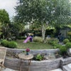 Photo 6: Garden