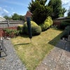 Photo 6: Garden