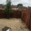 Photo 8: Back garden