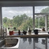 Photo 8: Kitchen Window (north west facing)
