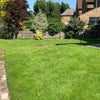 Photo 6: The back garden