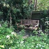 Photo 6: bench by fruit orchard
