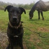 Photo 4: Bear and blue 