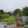 Photo 7: Garden