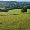 Photo 3: Rural peace and tranquility 