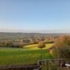 Photo 7: View from the living room 