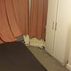 Photo 6: Bed room by window 