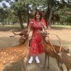 Photo 6: Getting attacked by deers in Nara