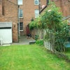Photo 8: Garden 