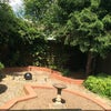 Photo 6: Garden