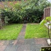 Photo 2: Garden 
