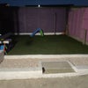 Photo 3: Garden - Night