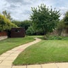 Photo 5: Shared garden