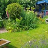 Photo 6: Summer Garden