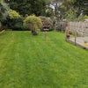 Photo 9: Garden & deck