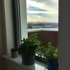 Photo 5: a view towards the city centre and Pentland hills