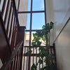 Photo 7: Staircase