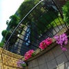 Photo 2: Balcony