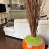 Photo 4: modern furniture with open plan space
