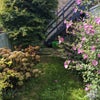 Photo 7: Garden