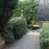 Photo 7: Garden