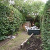 Photo 7: 65 Evelyn Rd Garden