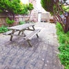 Photo 6: Garden