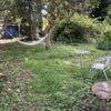 Photo 4: back garden