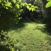 Photo 7: Large secluded garden