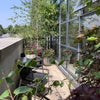 Photo 8: 30 foot terrace 