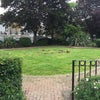 Photo 6: Local park