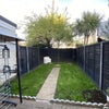 Photo 7: Garden
