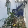 Photo 5: patio