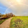 Photo 9: Fave cycle path 