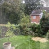 Photo 8: Shared Garden 