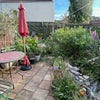 Photo 7: Garden