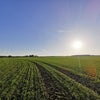 Photo 9: Beautiful countryside within a 5 min walk