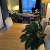 Photo 4: Dining area