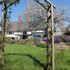 Photo 7: Back Garden