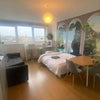 Photo 5: Bedroom 2/living room