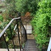 Photo 3: Garden 
