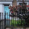 Photo 6: facade from the road