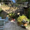 Photo 8: Shared back garden