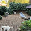 Photo 2: Private Garden 
