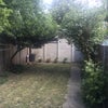 Photo 2: Backyard 