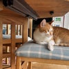 Photo 8: This is Milton