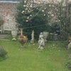Photo 4: GARDEN