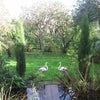 Photo 2: Private gardens and orchard